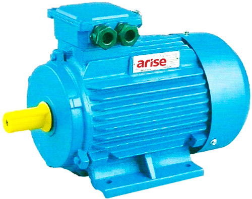 Three Phase Motor